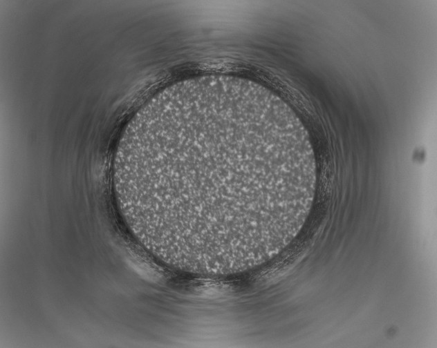 X0000116780601201001281123