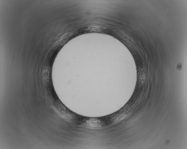 X0000116780603201001281123