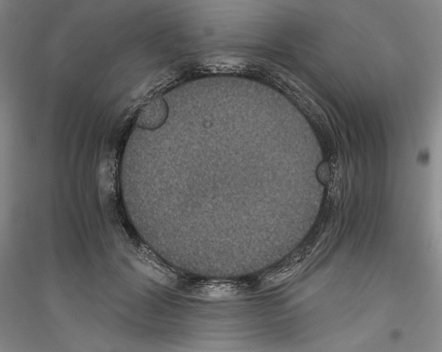 X0000116780604201001281123