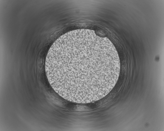 X0000116780605201001281123