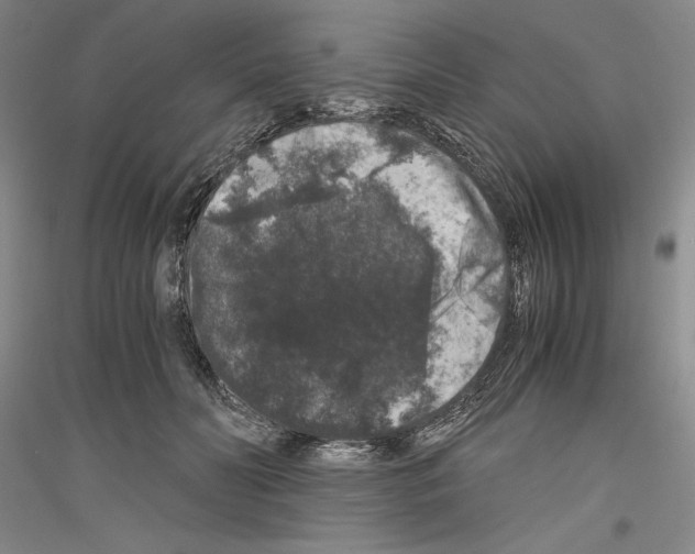 X0000116780606201001281123