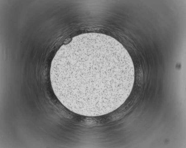 X0000116780608201001281123