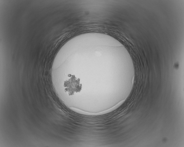 X0000116780611201001281123