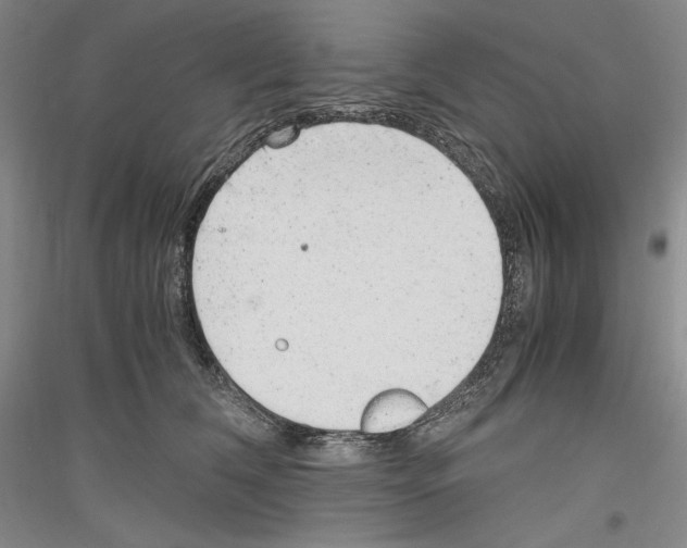 X0000116780612201001281123