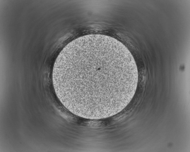 X0000116780615201001281123