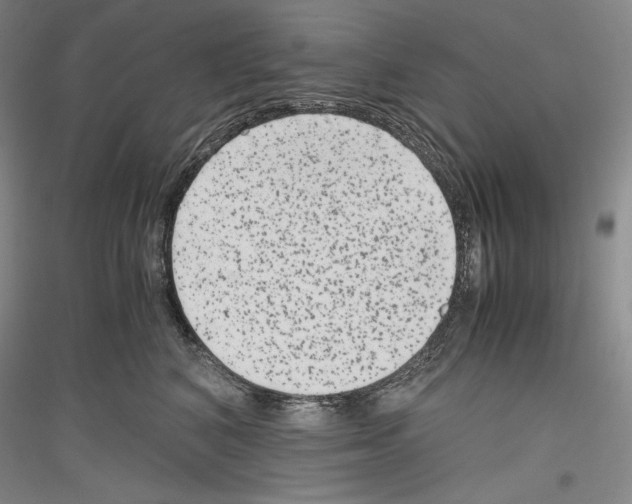 X0000116780616201001281123