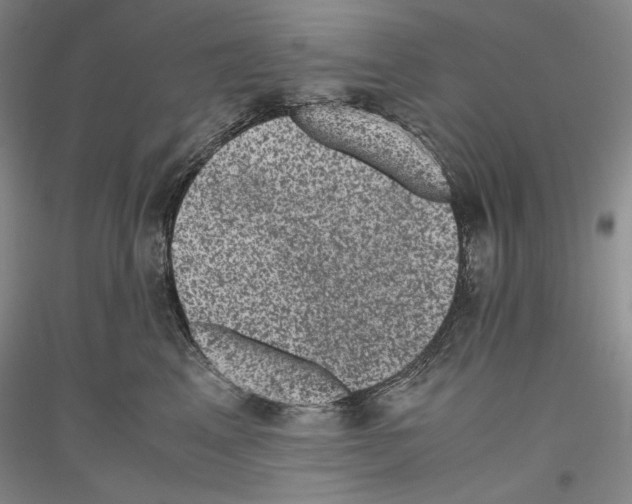 X0000116780617201001281123