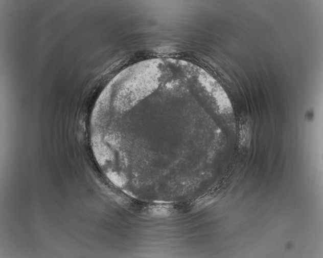 X0000116780618201001281123