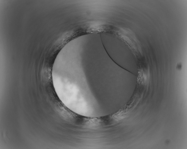 X0000116780621201001281123