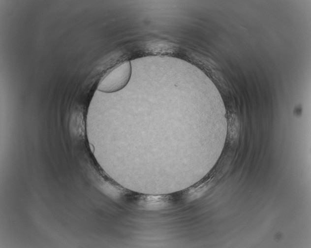 X0000116780622201001281123