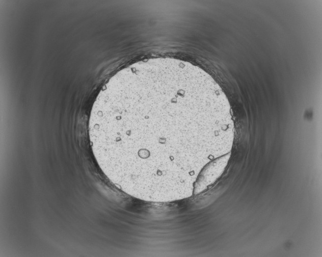 X0000116780623201001281123