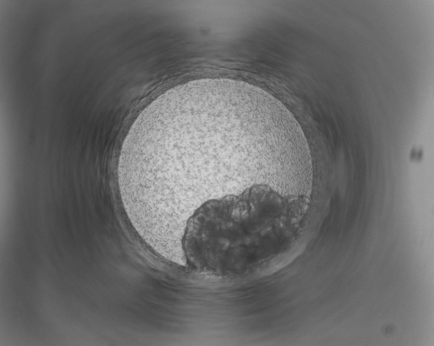 X0000116780624201001281123