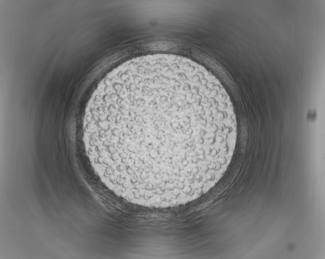 X0000116780626201001281122