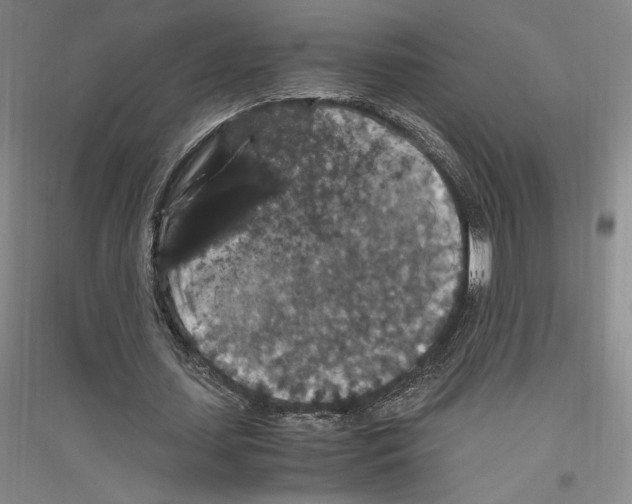 X0000116780627201001281122