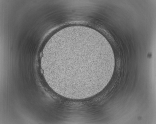 X0000116780628201001281122