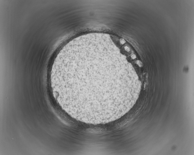 X0000116780630201001281122