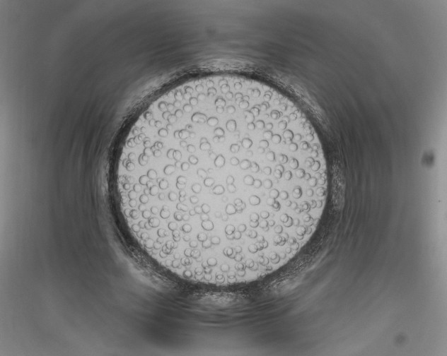 X0000116780631201001281122