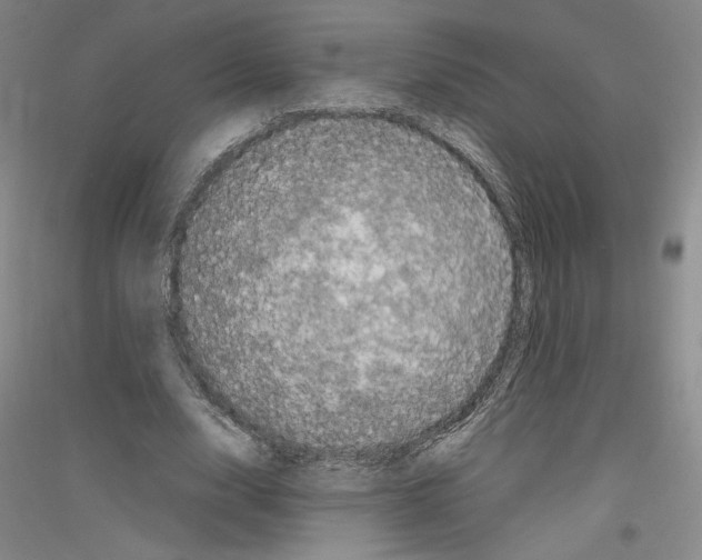 X0000116780632201001281122