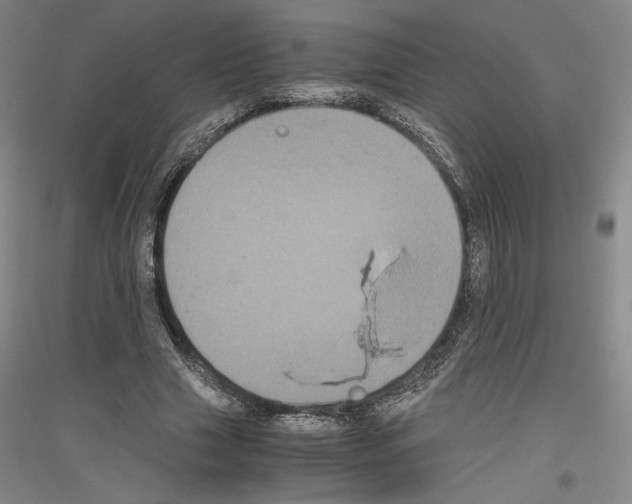 X0000116780633201001281122