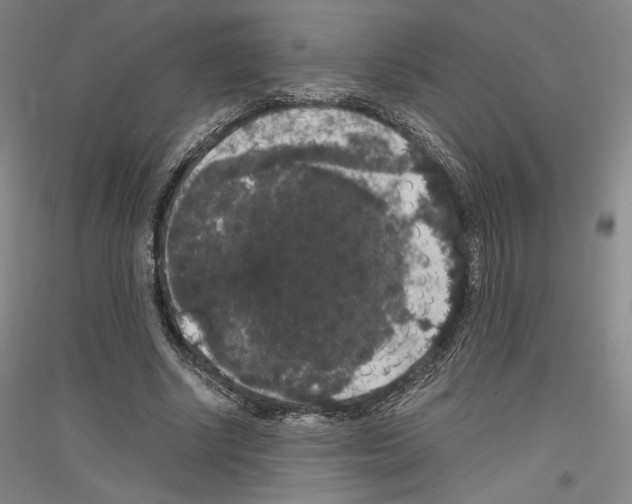 X0000116780634201001281122