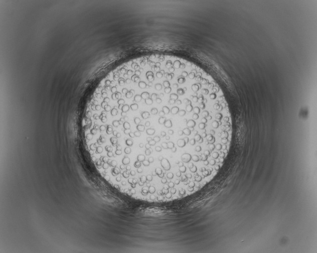 X0000116780635201001281122