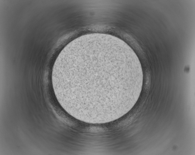 X0000116780636201001281122