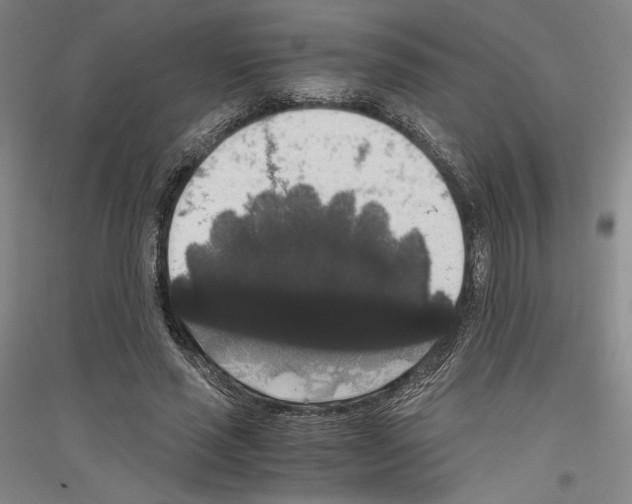 X0000116780637201001281122