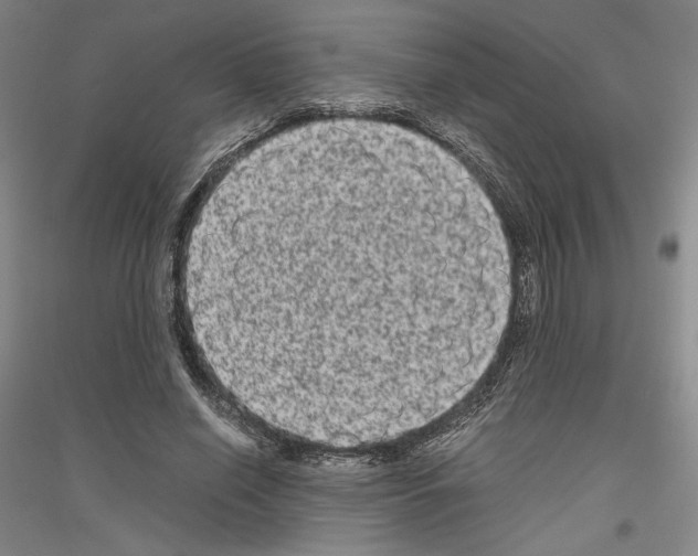 X0000116780638201001281122