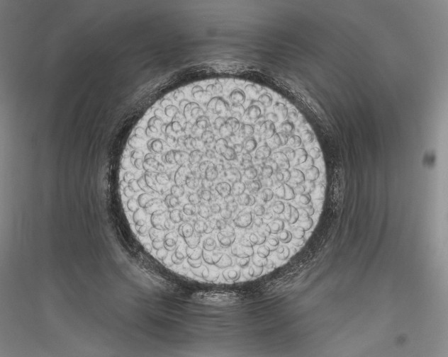 X0000116780639201001281122