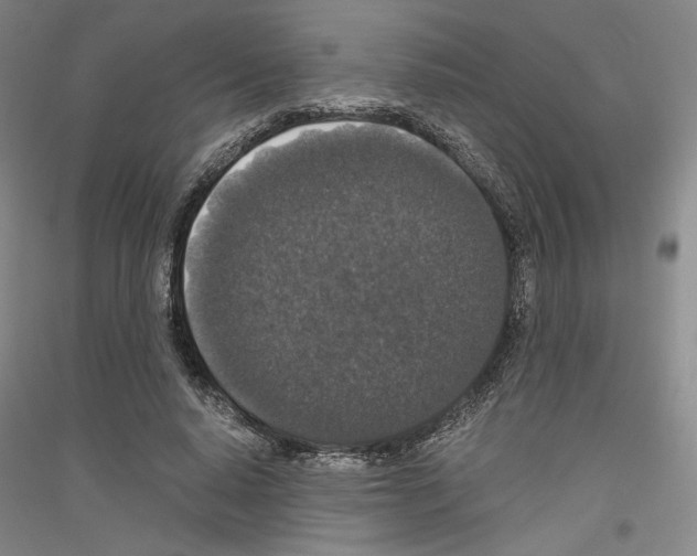 X0000116780640201001281122