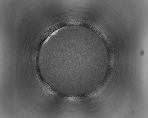 X0000116780641201001281122