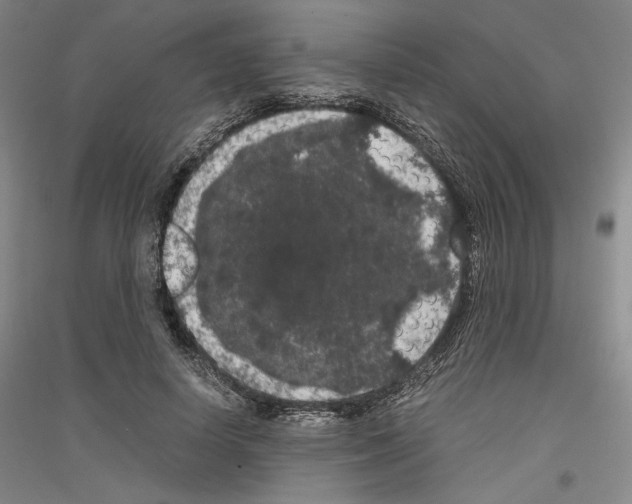 X0000116780642201001281122