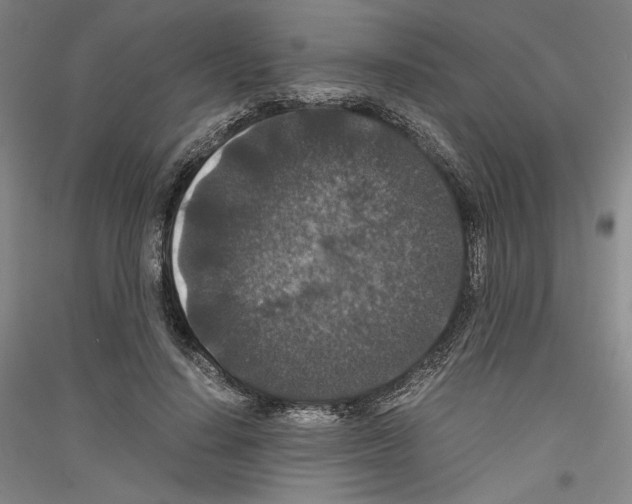 X0000116780644201001281122