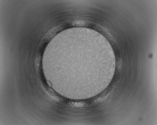 X0000116780645201001281122