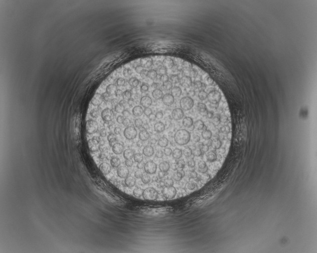 X0000116780646201001281122