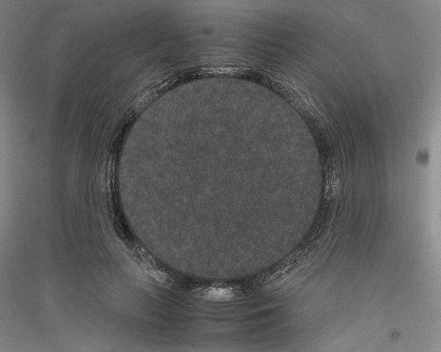 X0000116780647201001281122