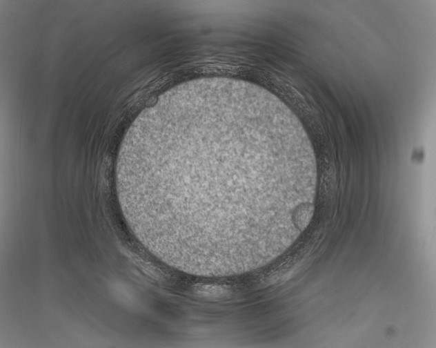 X0000116780649201001281122