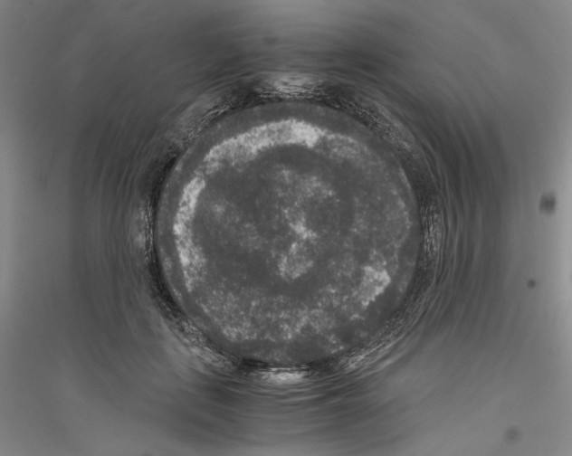 X0000116780651201001281122