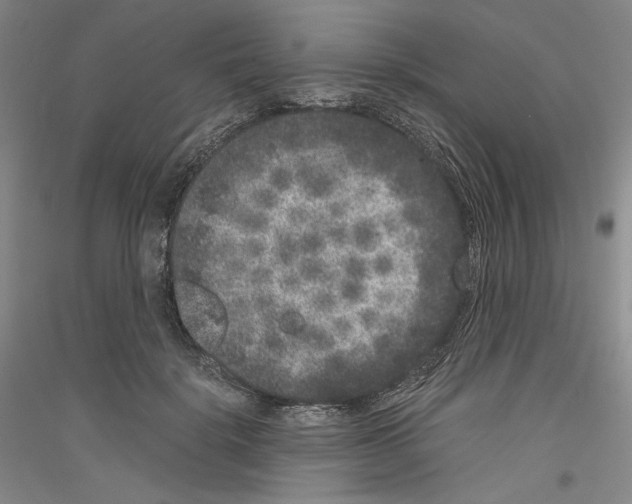 X0000116780652201001281122