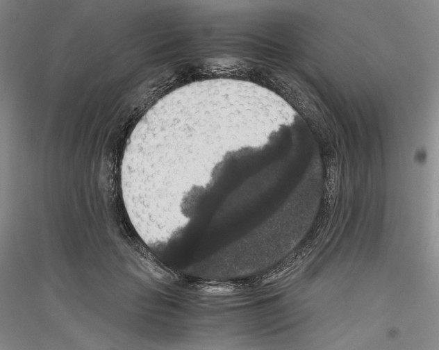 X0000116780653201001281122