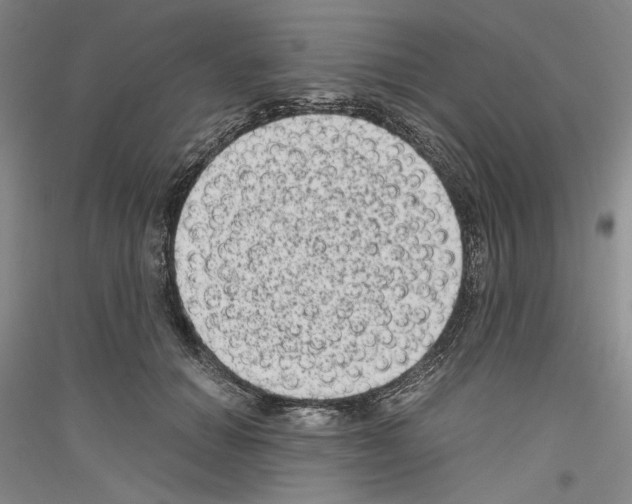 X0000116780654201001281122