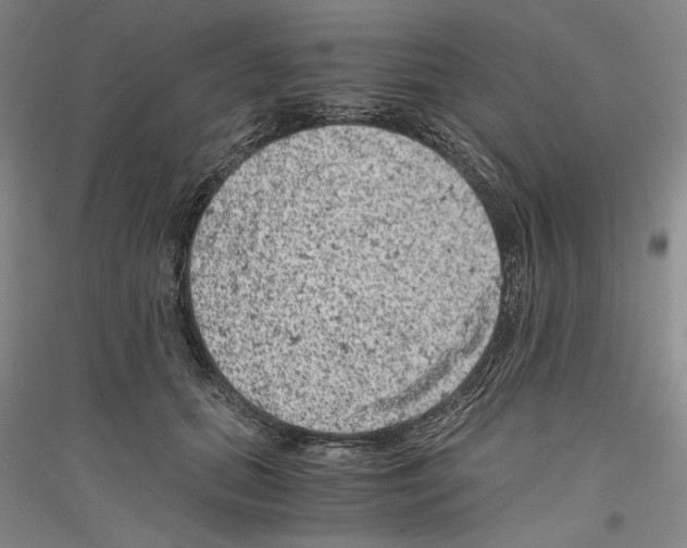 X0000116780655201001281122