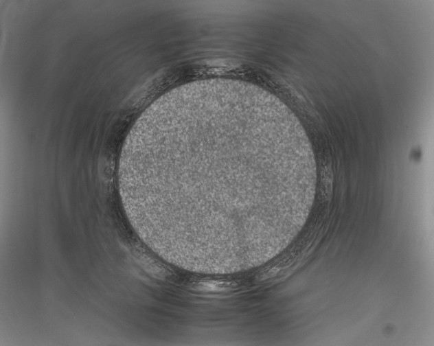 X0000116780657201001281122