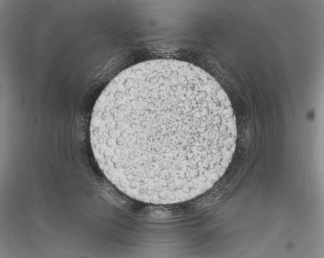 X0000116780658201001281122