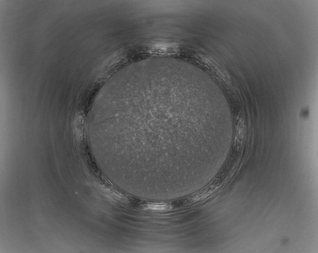 X0000116780659201001281122