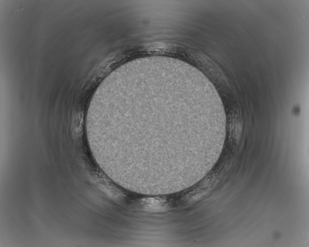 X0000116780660201001281122