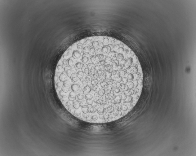 X0000116780662201001281123