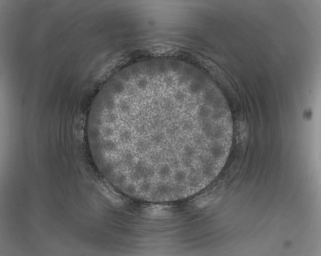 X0000116780664201001281123