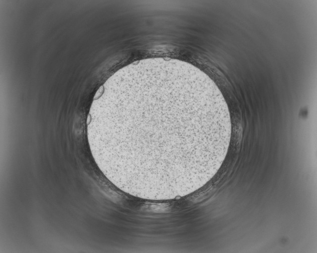 X0000116780665201001281123