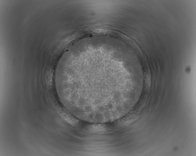 X0000116780668201001281123